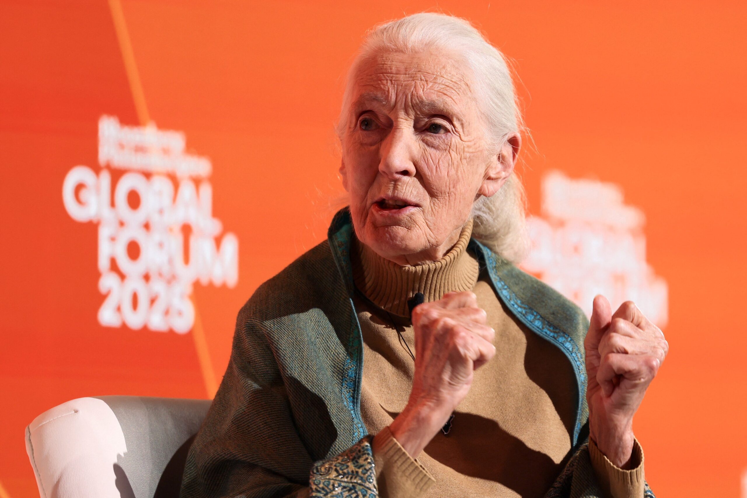 jane-goodall,-defensora-do-meio-ambiente-e-‘amiga-dos-chimpanzes’,-morre-aos-91-anos