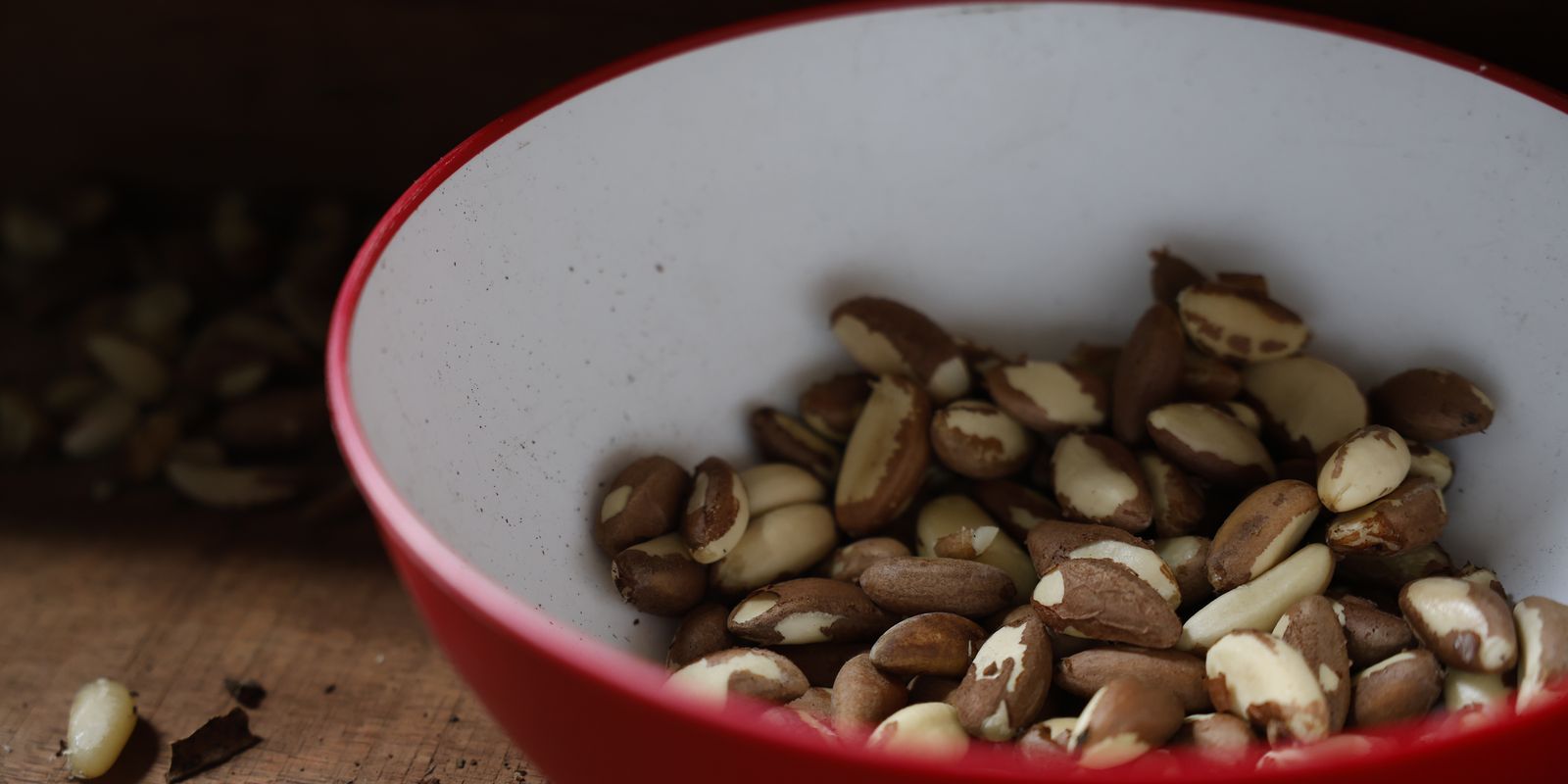 agricultura-familiar-do-nordeste-vai-a-maior-feira-mundial-alimentos