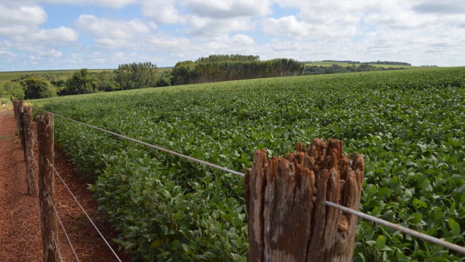 como-a-extensao-de-prazo-para-regularizacao-de-terras-na-fronteira-beneficia-produtores