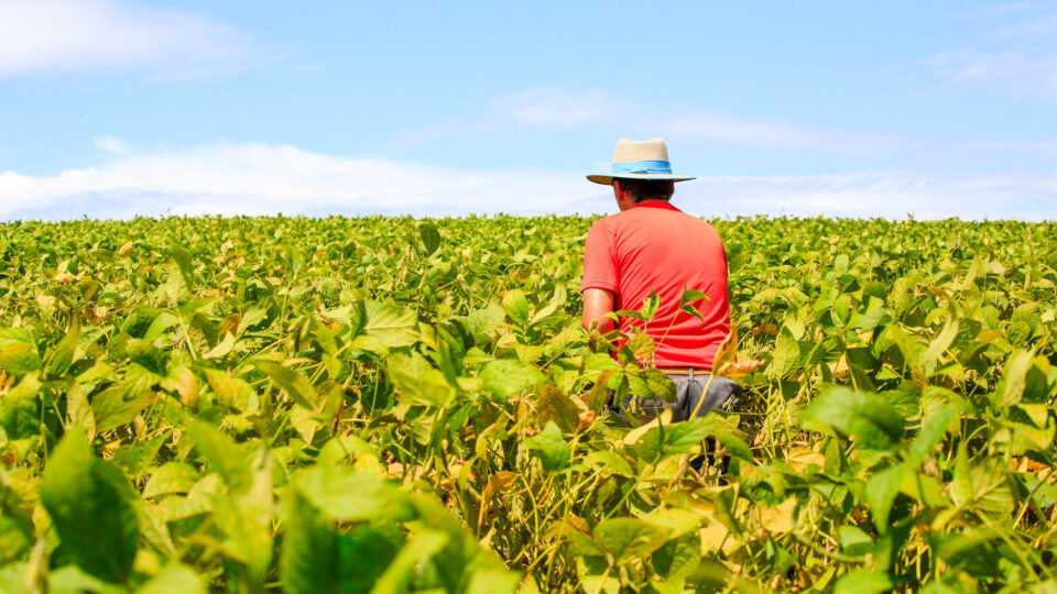 governo-libera-r$-12-bilhoes-para-renegociar-dividas-de-ate-100-mil-produtores