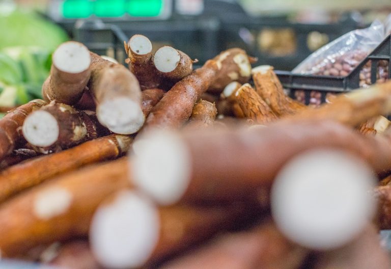 medida-provisoria-direciona-recursos-para-a-embrapa-combater-praga-da-mandioca