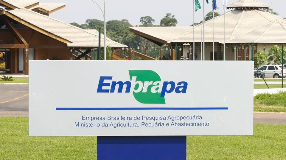 onde-r$-1-vira-r$-17:-americanos-descobrem-segredo-da-revolucao-agricola-brasileira