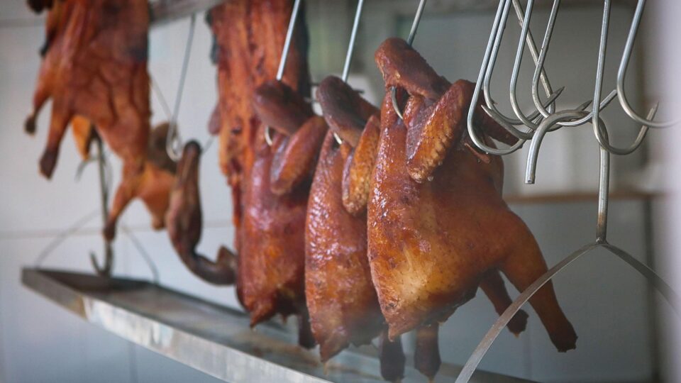 mutacao-em-virus-que-matou-milhoes-de-aves-pode-gerar-pandemia-pior-que-a-de-covid-19