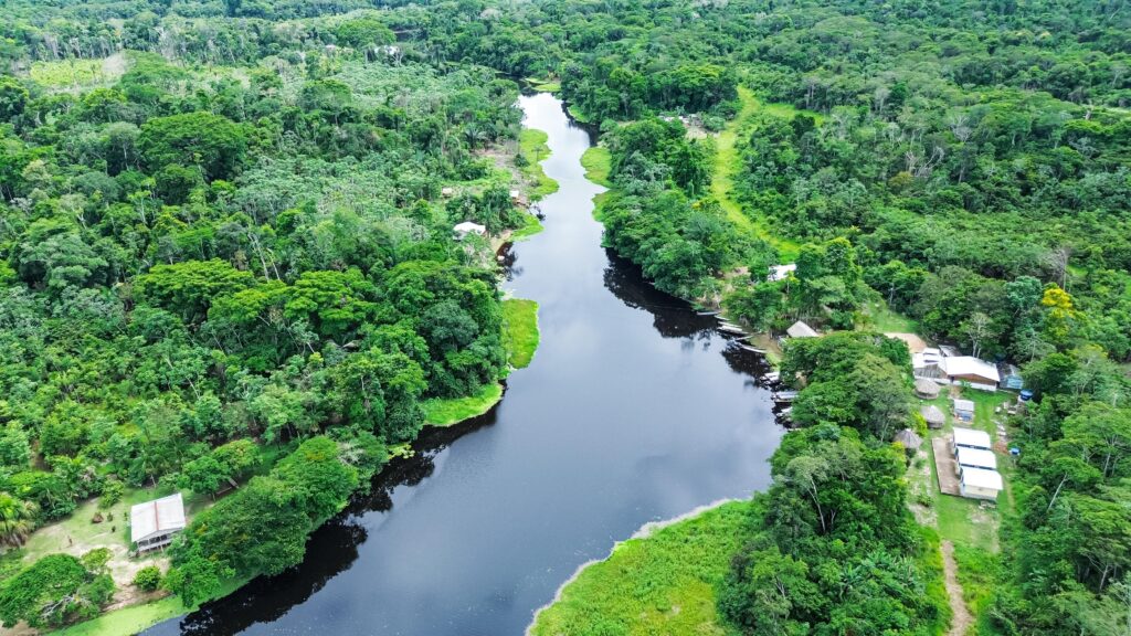 acre-encerra-o-ano-consolidado-como-referencia-global-em-clima,-floresta-e-governanca-ambiental