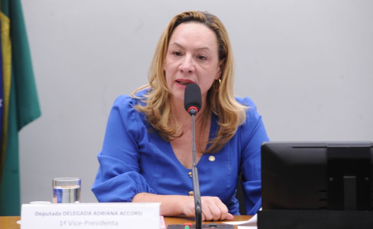 comissao-aprova-fim-de-isencao-penal-patrimonial-em-violencia-domestica