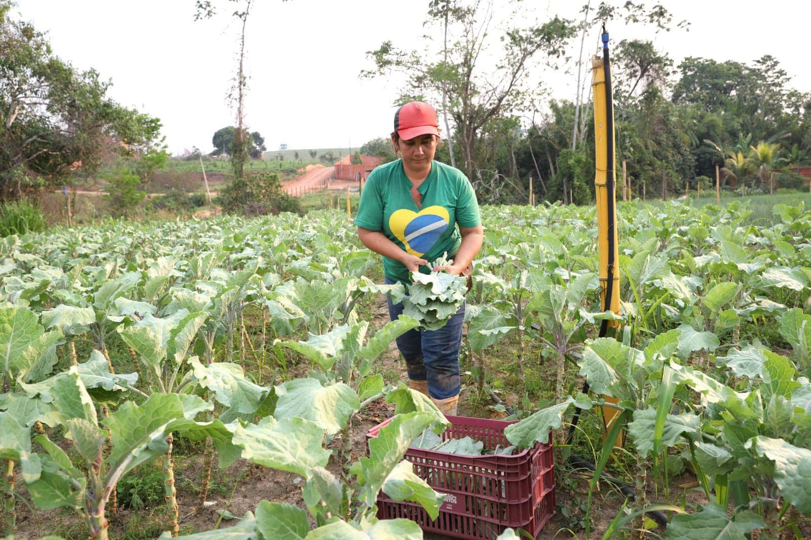 governo-do-acre-sanciona-lei-de-criacao-do-selo-da-agricultura-familiar-no-acre