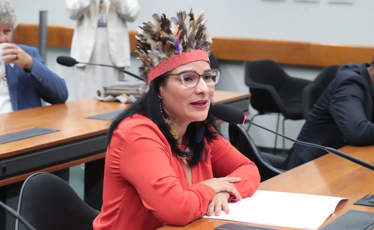 juliana-cardoso-e-eleita-presidente-da-comissao-da-amazonia