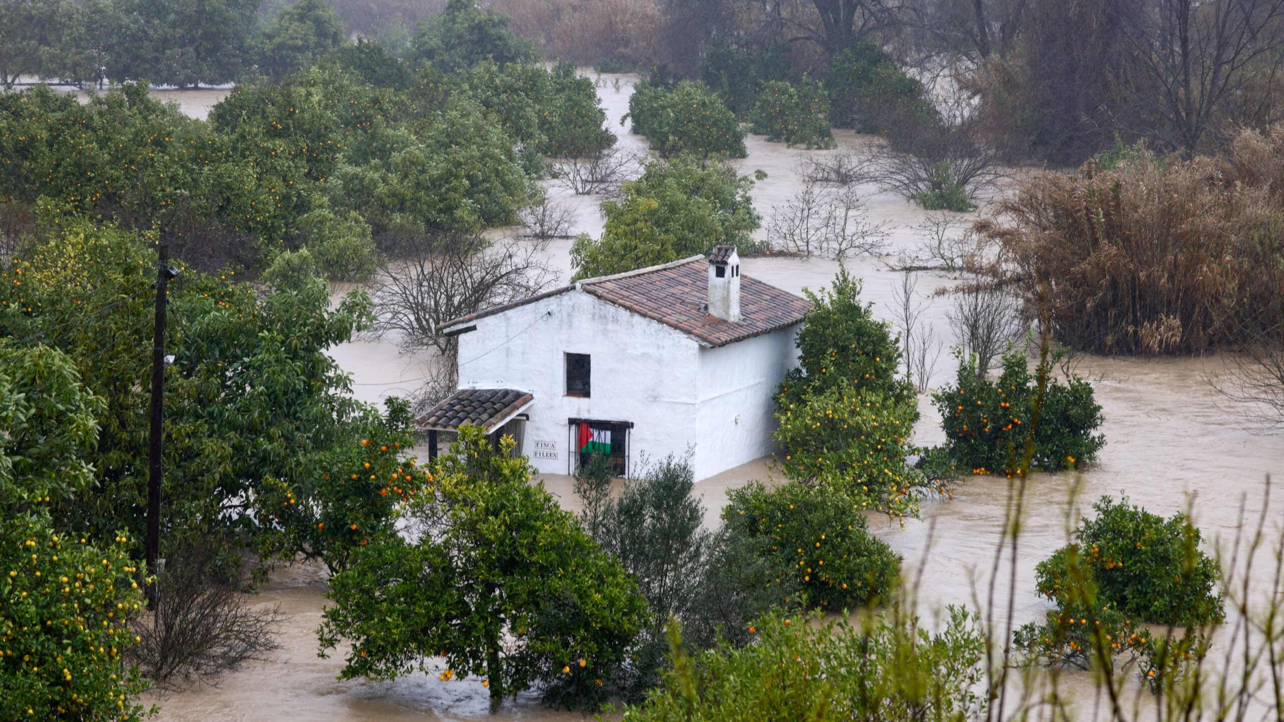 tempestade-em-portugal-e-na-espanha-deixa-1-morto,-inunda-bairros-historicos-e-causa-desabamento-de-torre-de-catedral;-imagens