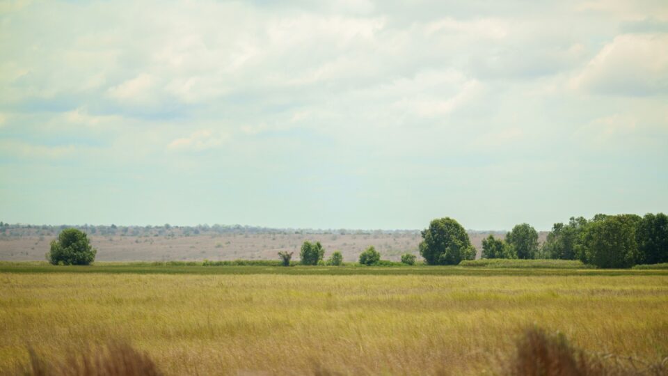 por-que-angola-esta-cedendo-terras-para-produtores-brasileiros