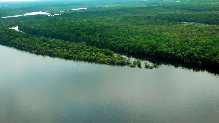 Amazônia registra queda superior a 30% no desmatamento