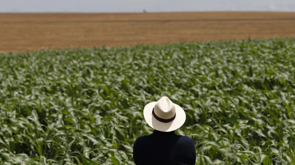 inflacao-a-vista?-como-o-conflito-no-oriente-medio-afeta-o-agronegocio-brasileiro