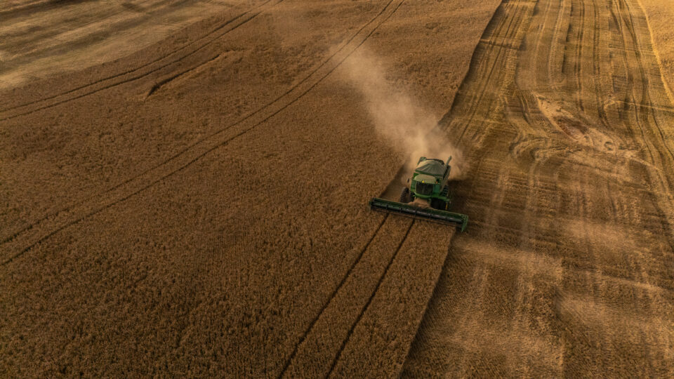 por-que-a-producao-de-cevada-cresce-no-brasil-apesar-do-alerta-na-industria?