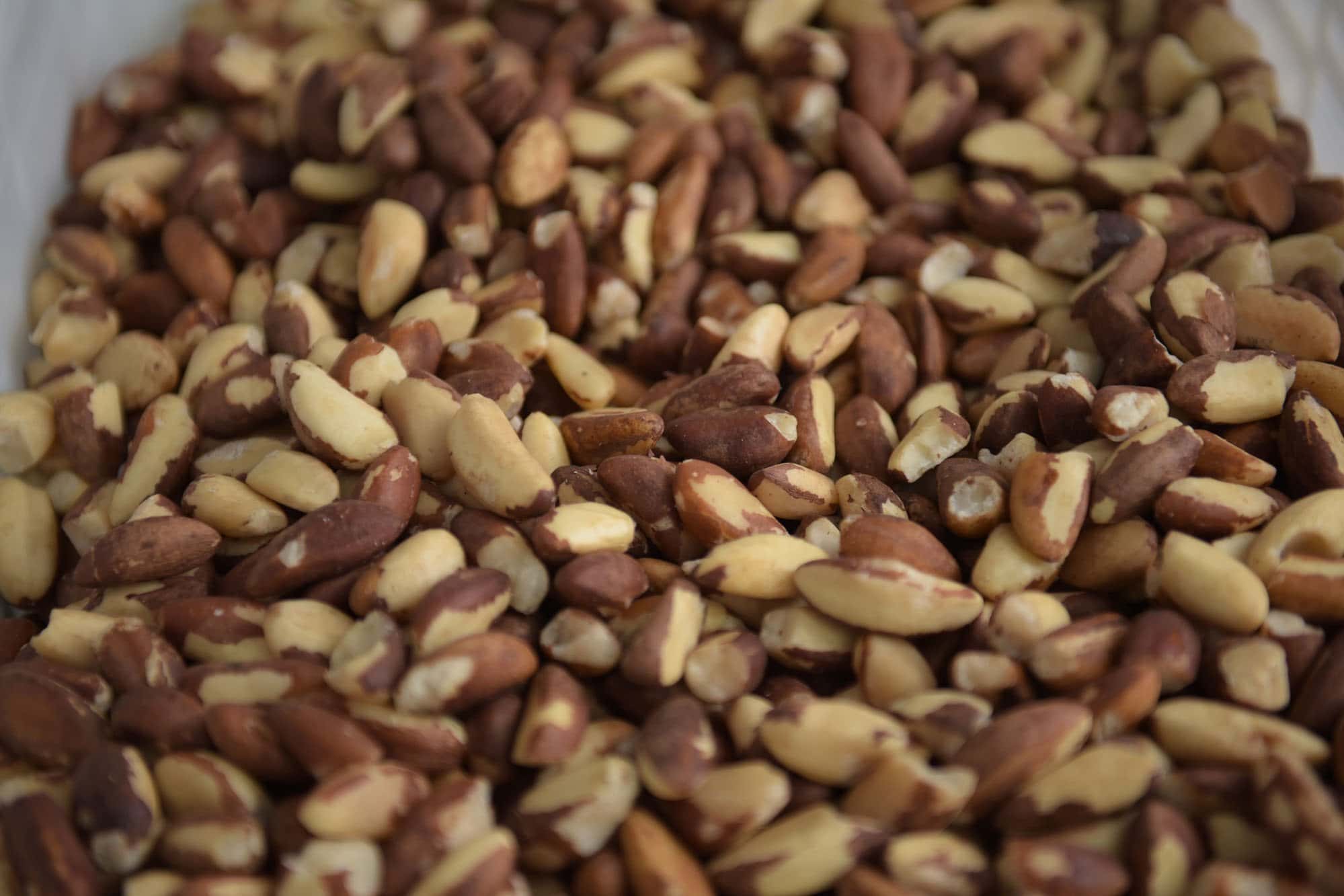 assis-brasil-volta-a-ser-a-principal-porta-de-saida-das-exportacoes-acreanas-apos-9-anos