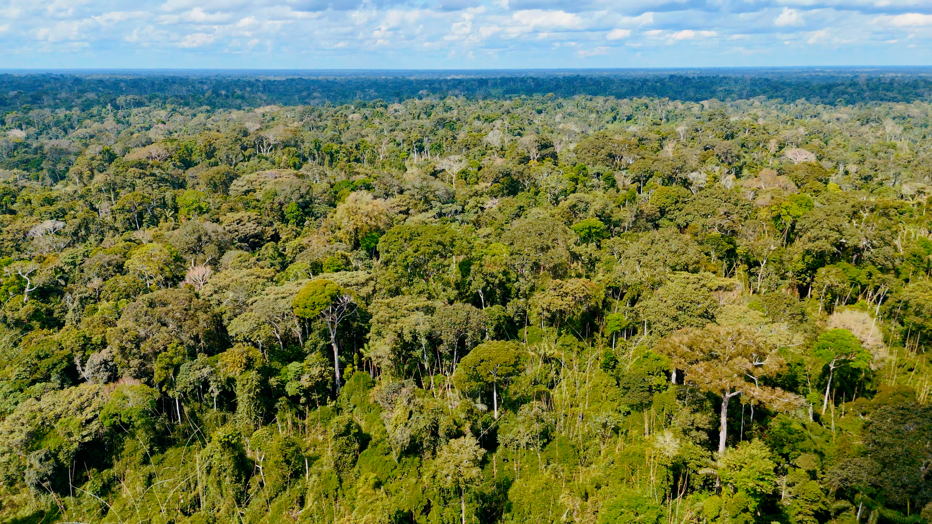 nova-norma-permite-embargo-remoto-em-areas-com-irregularidades-ambientais-no-acre