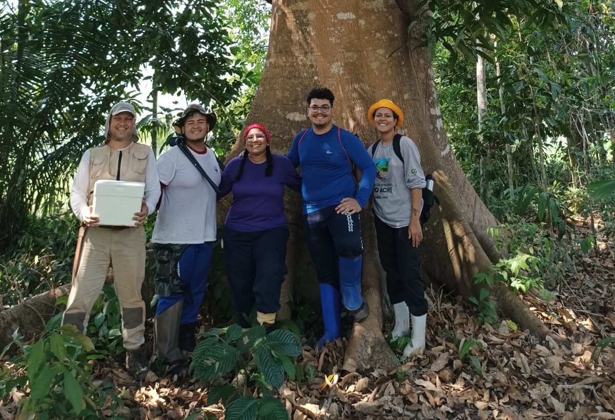 pesquisa-destaca-potencial-dos-sistemas-agroflorestais-na-recuperacao-da-biodiversidade-no-acre