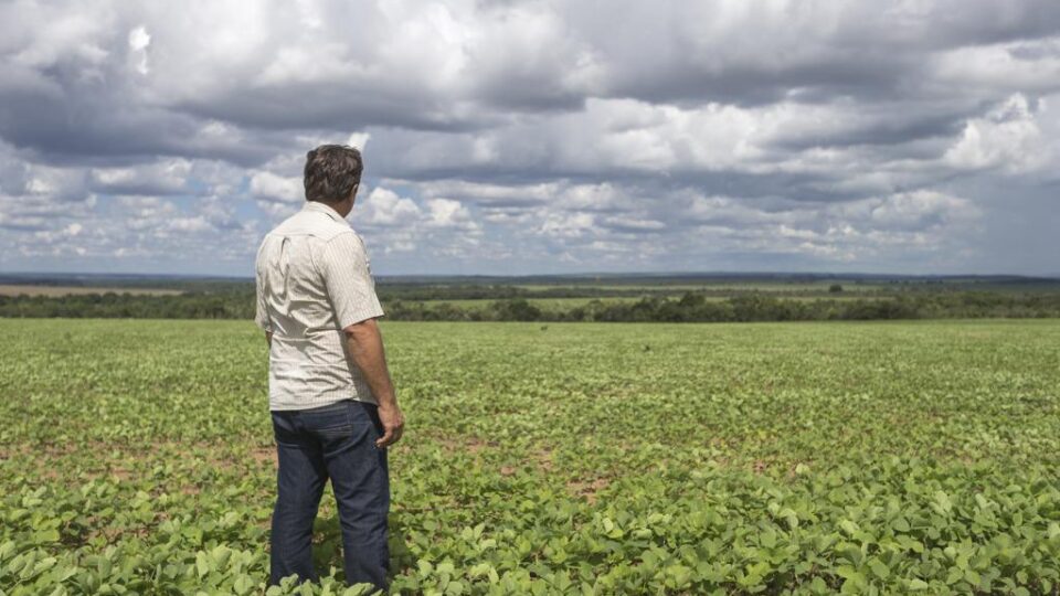 por-que-o-fim-da-escala-6×1-pode-encarecer-os-alimentos-no-brasil?