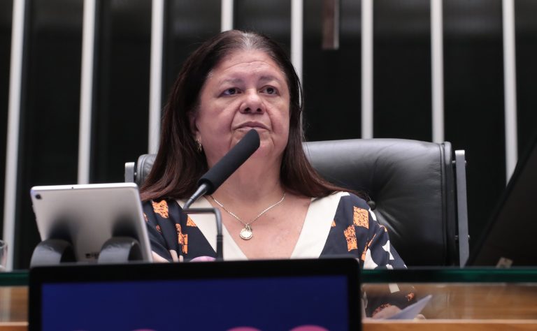 comissao-aprova-prioridade-de-oferta-de-alimentos-para-mulheres-vitimas-de-violencia