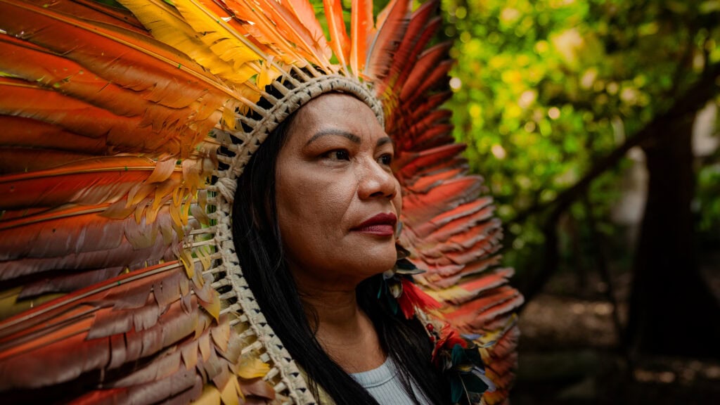 vozes-da-floresta-em-conquista