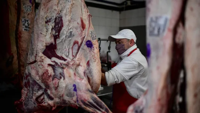 governo-e-surpreendido-com-veto-da-ue-sobre-importacao-de-carnes-do-br