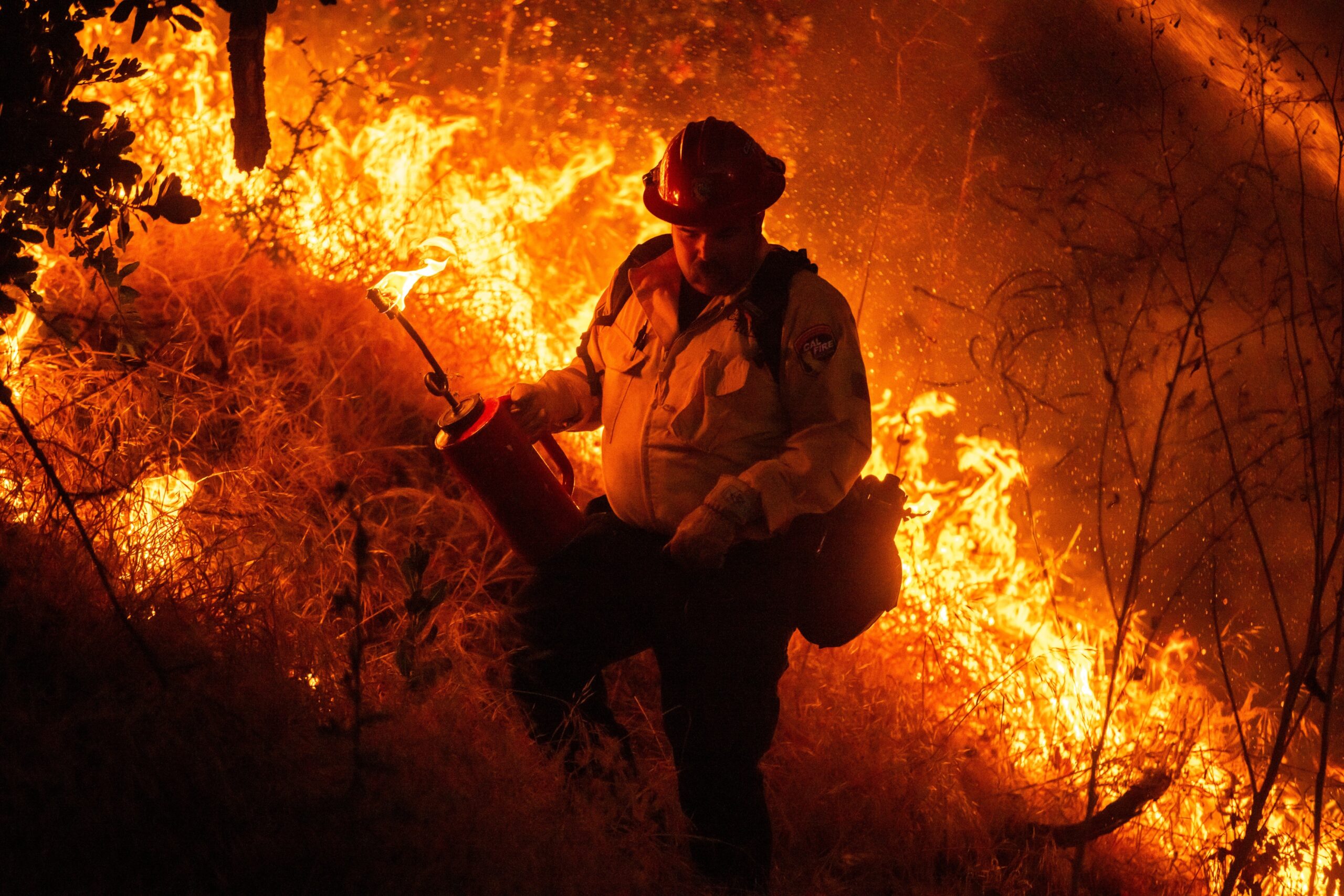 incendio-florestal-provoca-evacuacao-de-milhares-na-california;-video-e-fotos