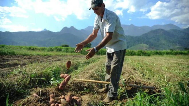 el-nino-caminha-para-ser-o-mais-forte-desde-1950-e-deve-deixar-marcas-no-campo-e-na-cidade
