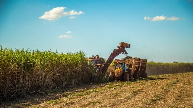 nordeste-deve-liderar-crescimento-economico-do-brasil-em-2026