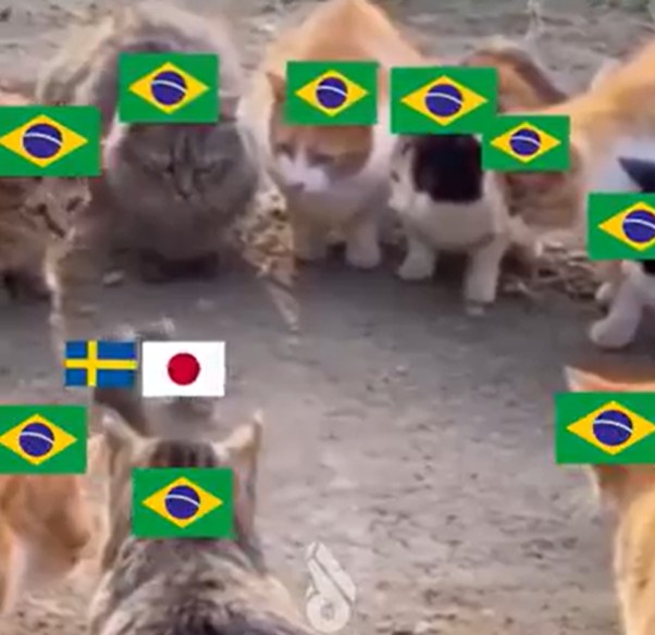japao-x-suecia:-veja-memes-do-empate-que-definiu-o-proximo-adversario-do-brasil