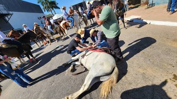 MPAC aperta fiscalização e faz alerta contra maus-tratos na Cavalgada da Expoacre 2026