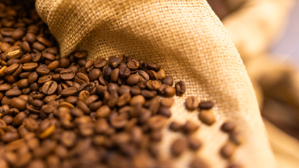 como-o-calor-esta-transformando-a-producao-de-cafe-no-brasil?