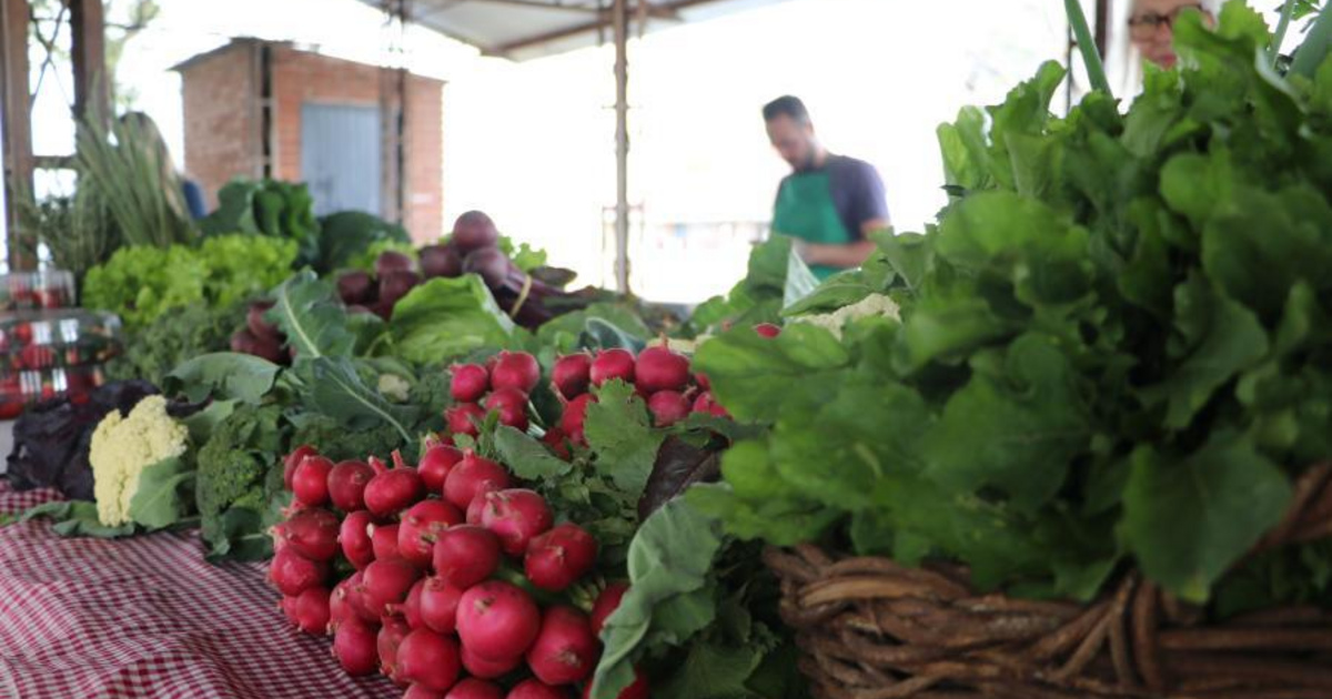Feira do Produtor Rural reúne 160 expositores e gastronomia regional em Rio Branco