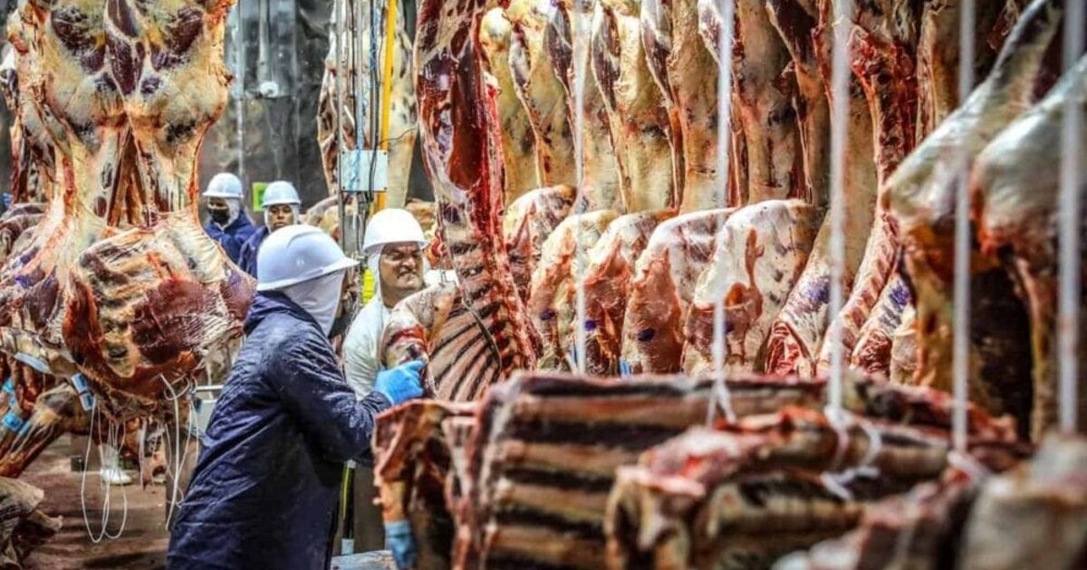 Trabalhadores em unidade de processamento de carne bovina