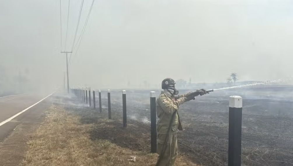Incêndio florestal atinge trecho da BR-319 e mobiliza 23 bombeiros no Amazonas